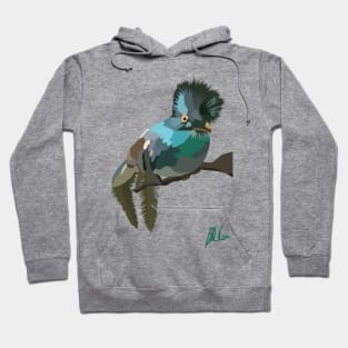 Squawk! Bird of Paradise Hoodie